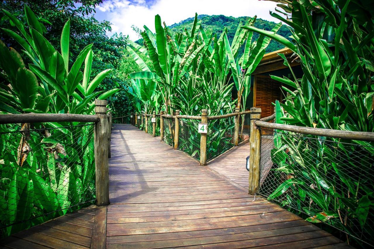 Banana Bamboo Ecolodge Убатуба Екстериор снимка