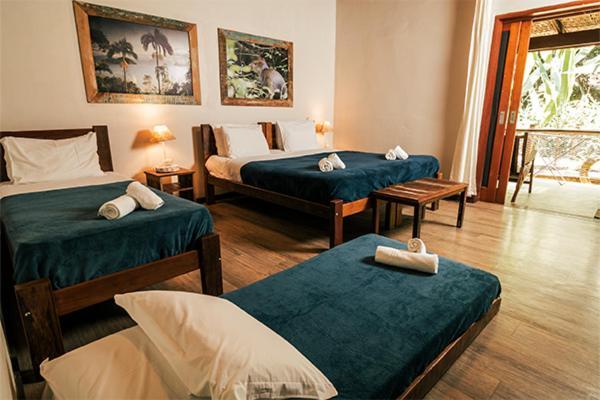 Banana Bamboo Ecolodge Убатуба Екстериор снимка